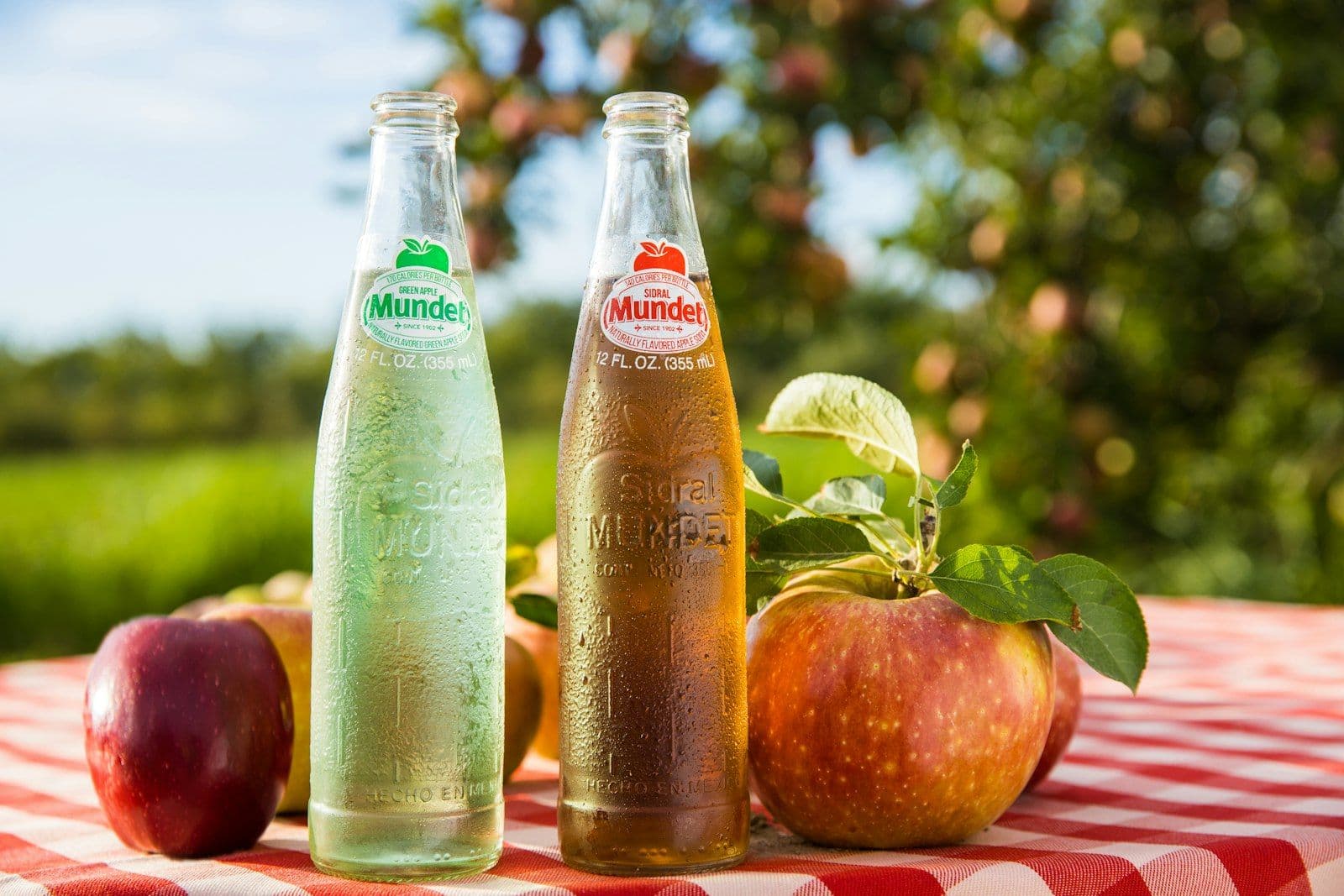 Post-Festival Detox: Resetting Your Body the Natural Way