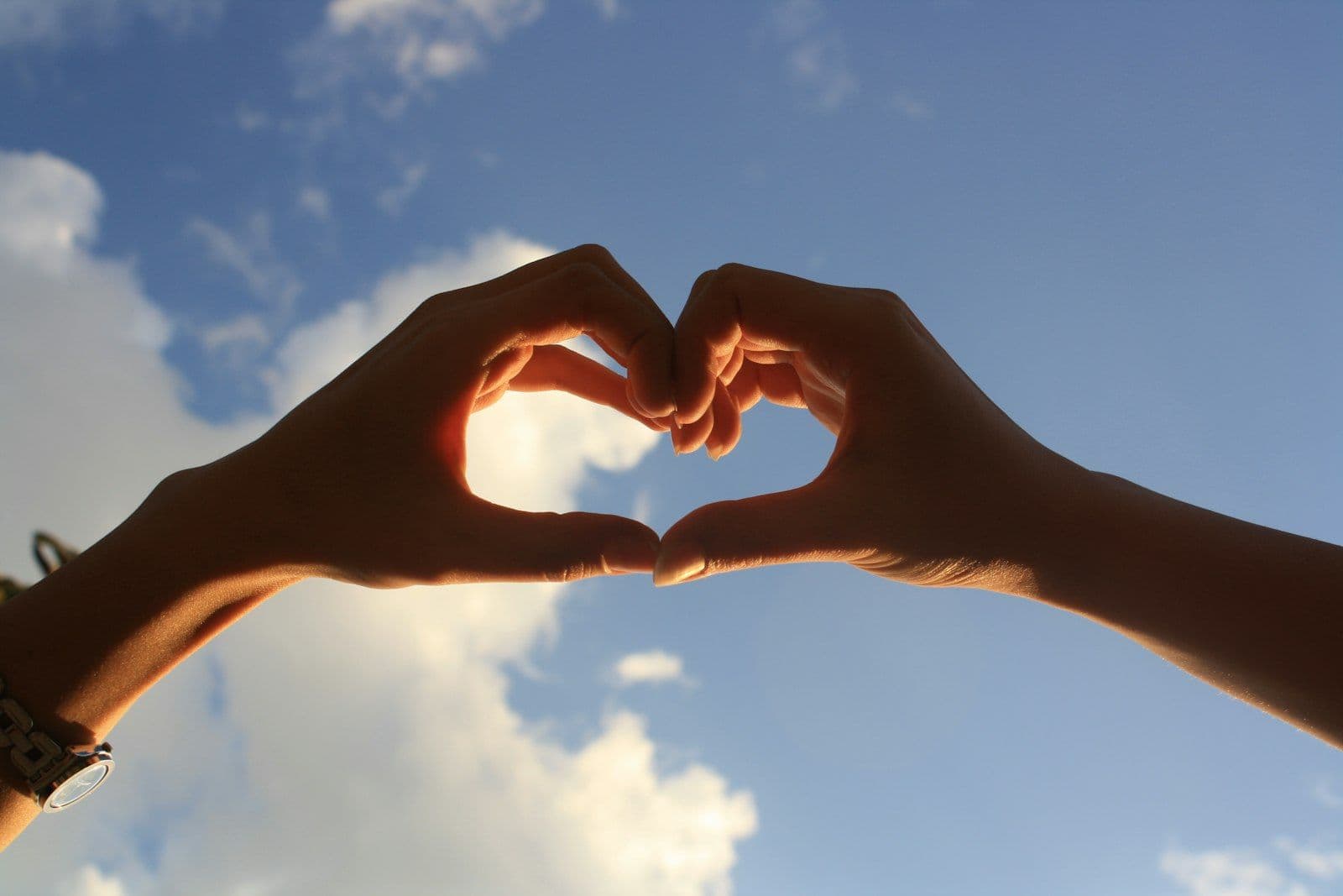 Heart Health Basics: Foods and Habits for a Stronger Heart