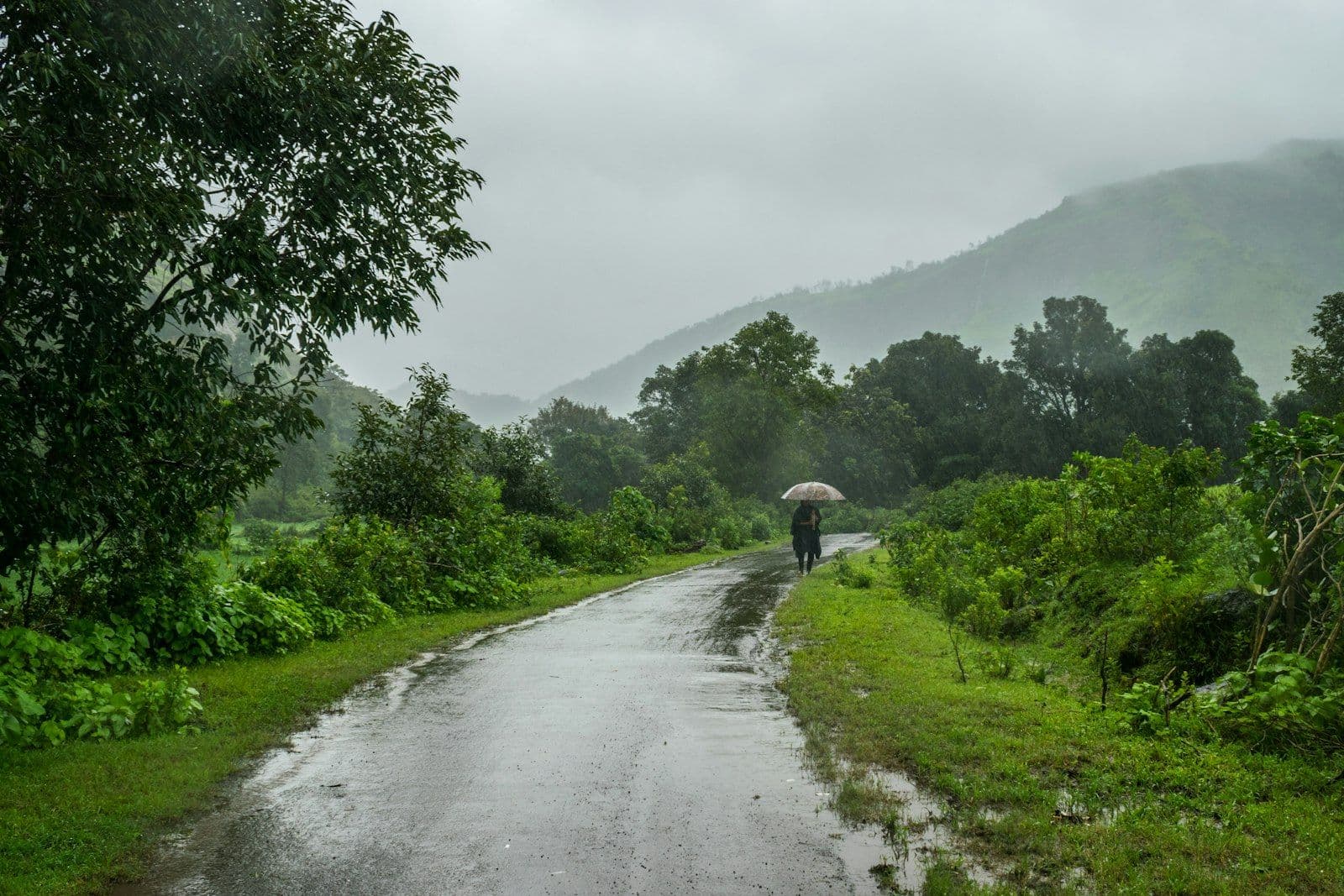Monsoon Wellness Tips: Staying Healthy When the Weather Changes