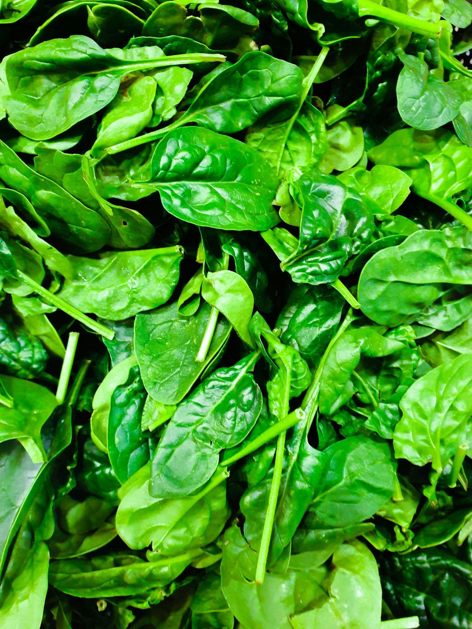 Iron Deficiency in India: Signs, Causes, and How Plant-Based Iron Helps