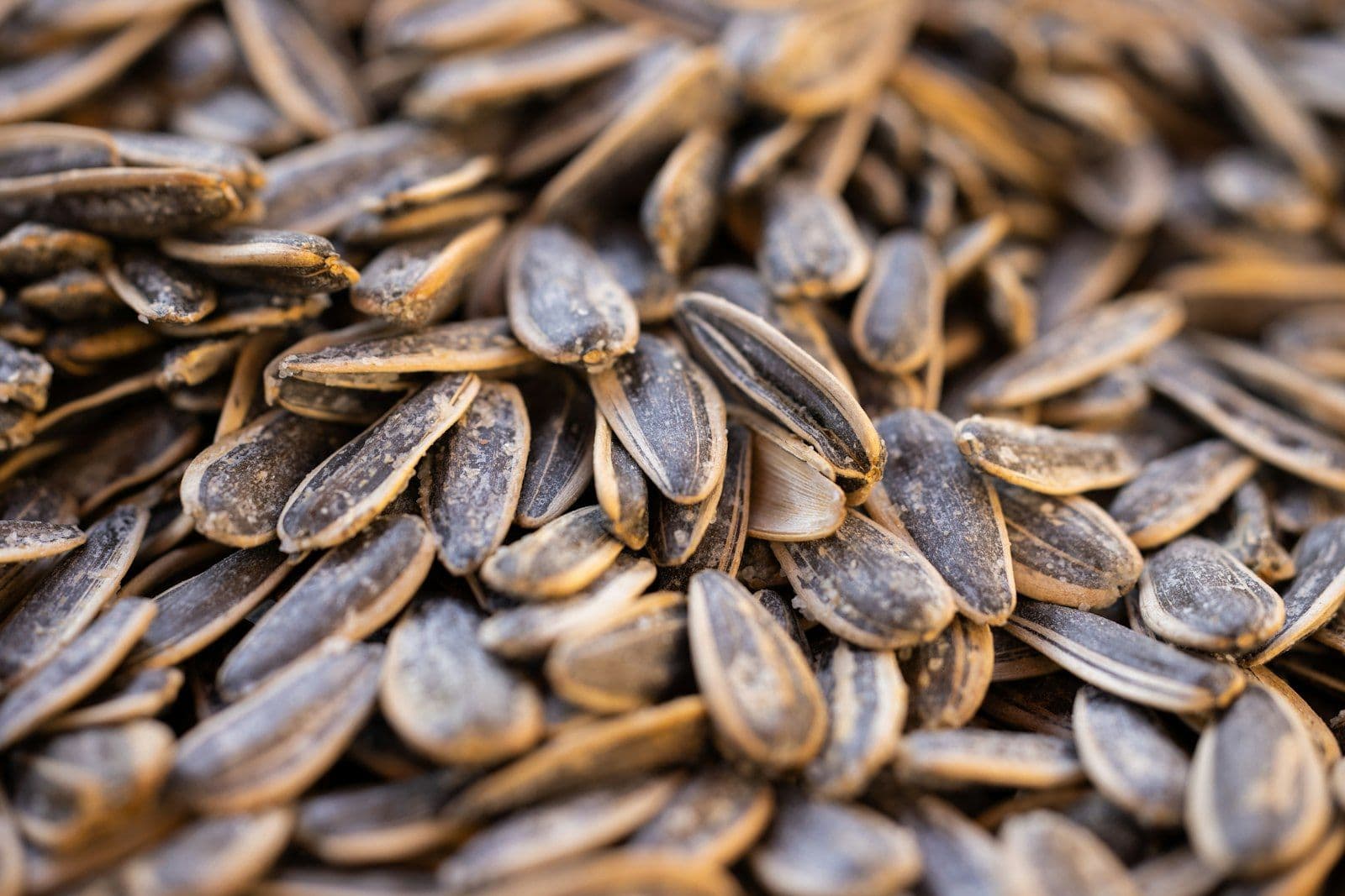 Sunflower Seeds: An Everyday Source of Vitamin E and Healthy Fats
